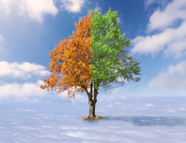 7 Tips for Navigating Major Transitions